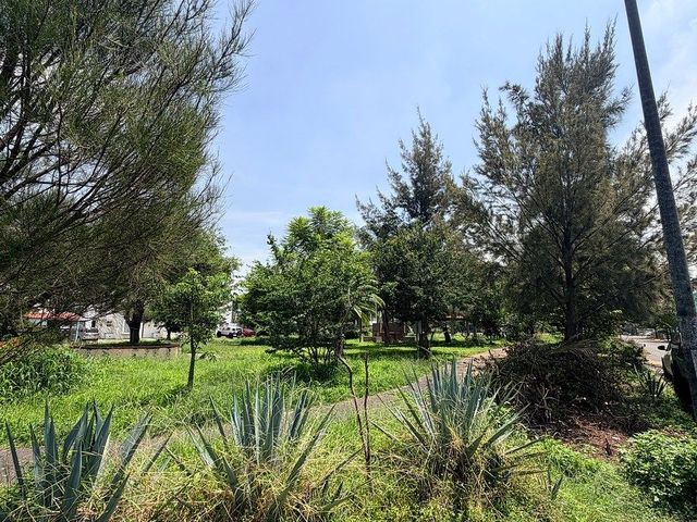 place photo 36