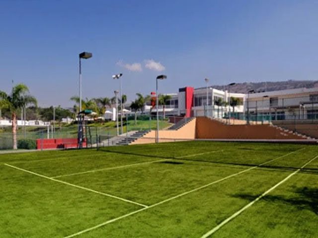 place photo 40
