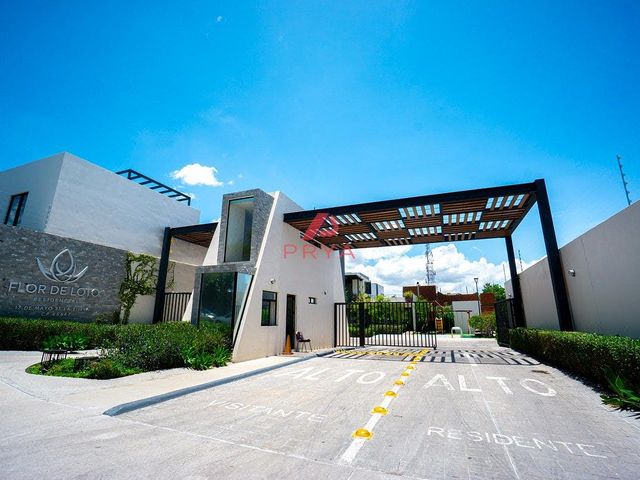 place photo 38