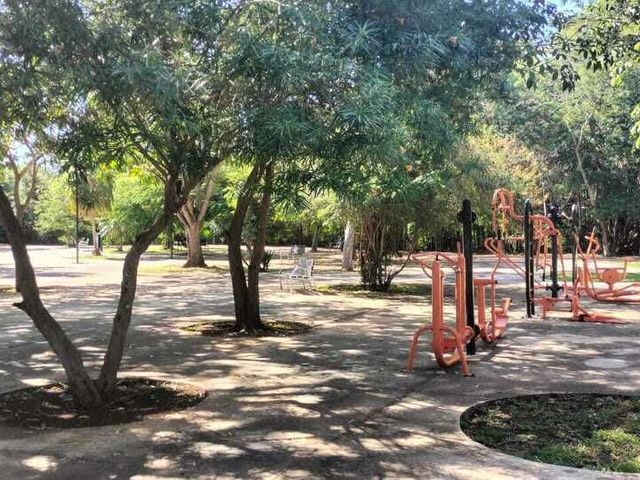place photo 31
