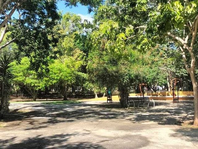 place photo 29