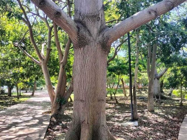 place photo 30