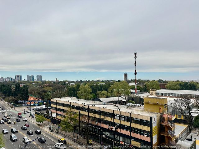 place photo 59