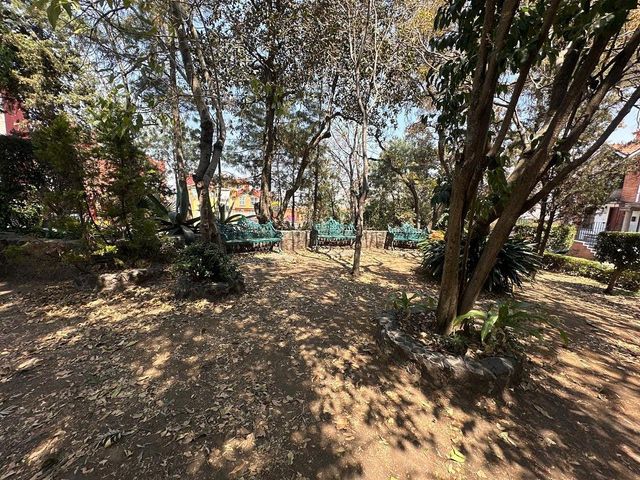 place photo 36