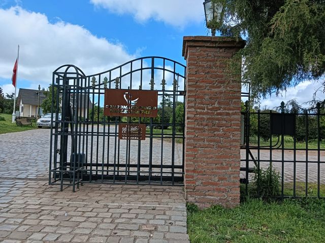 place photo 28