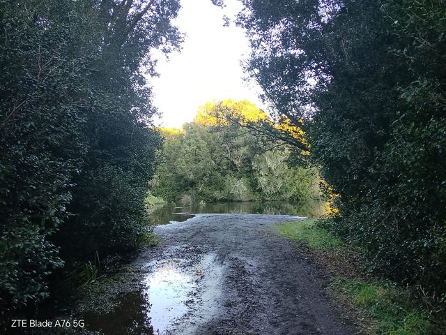 place photo 28