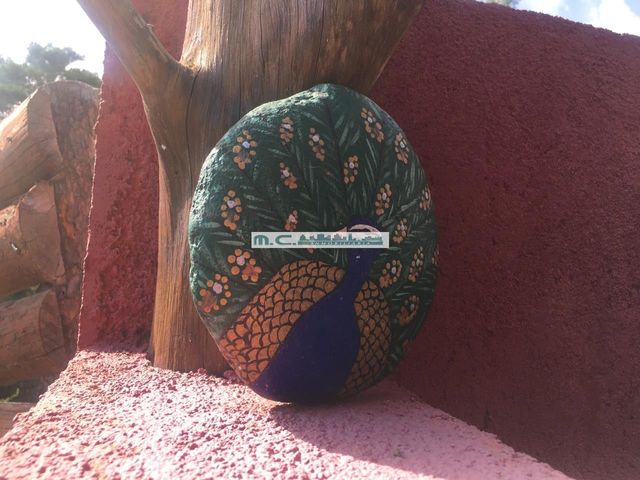 place photo 12