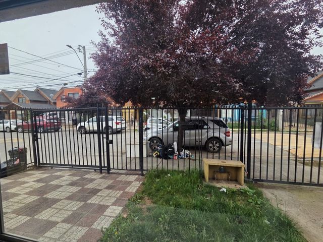 place photo 24