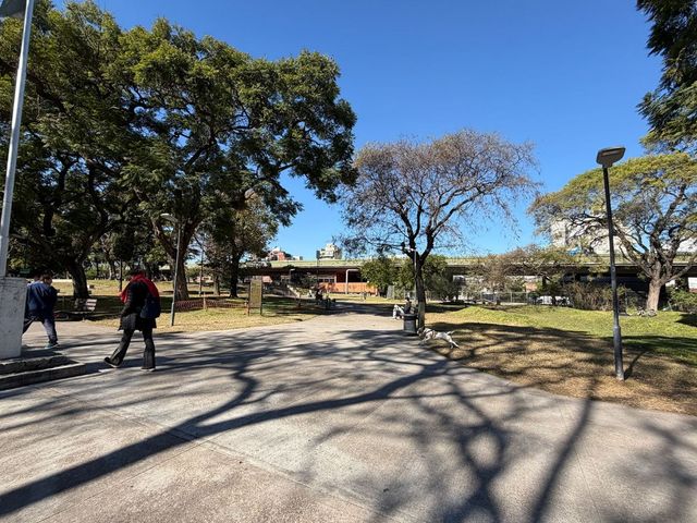 place photo 11