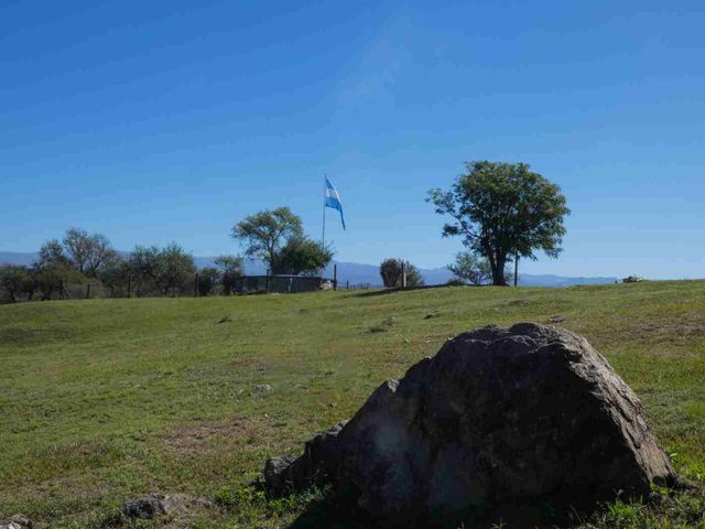 place photo 43