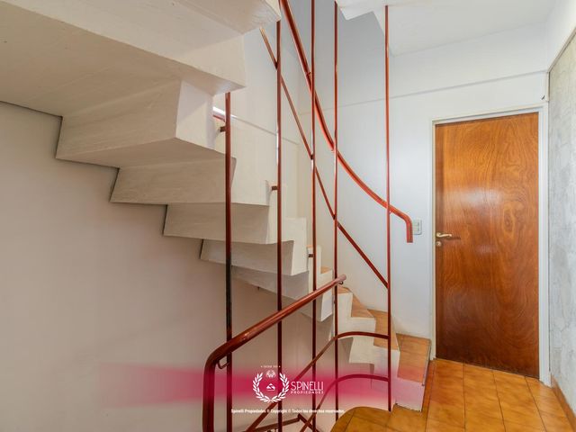 place photo 48