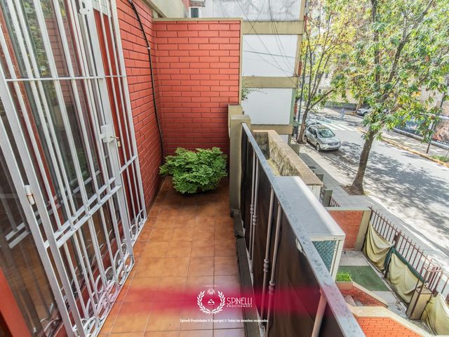 place photo 42