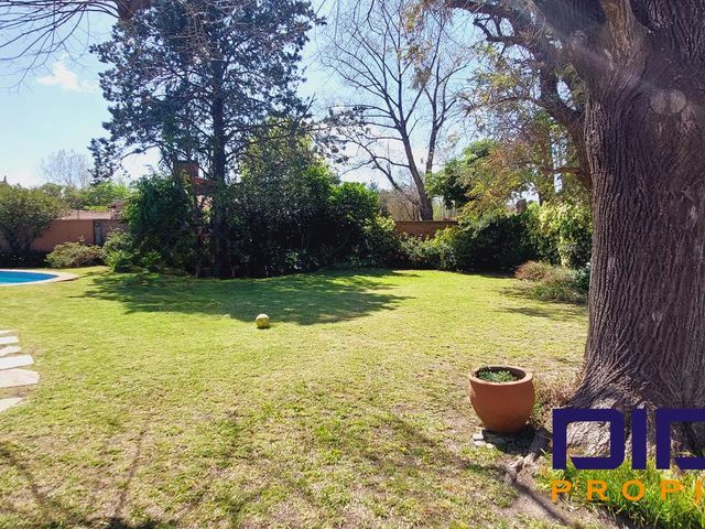 place photo 37