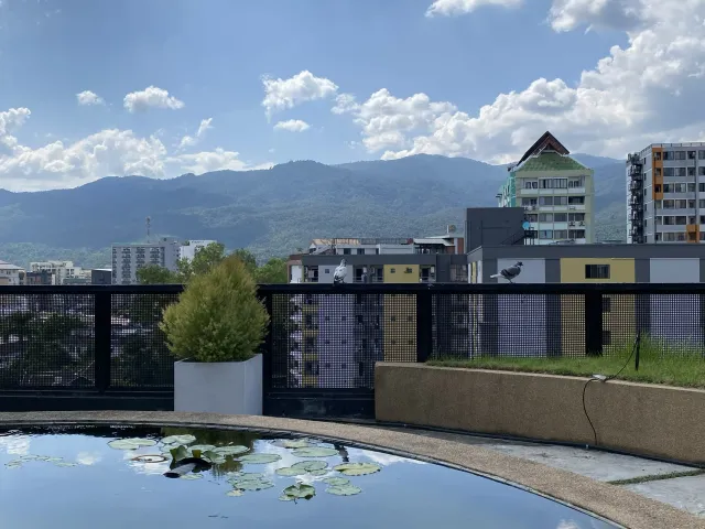 place photo 19