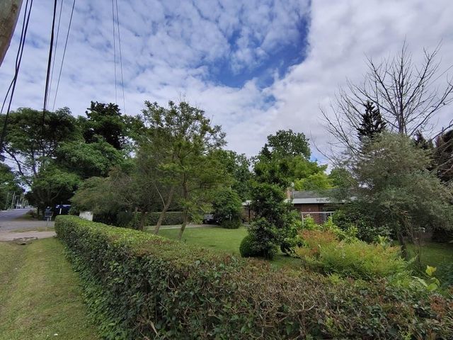 place photo 38