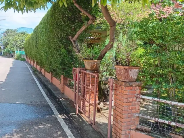 place photo 13