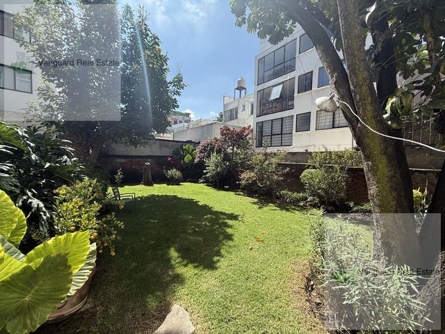 place photo 40