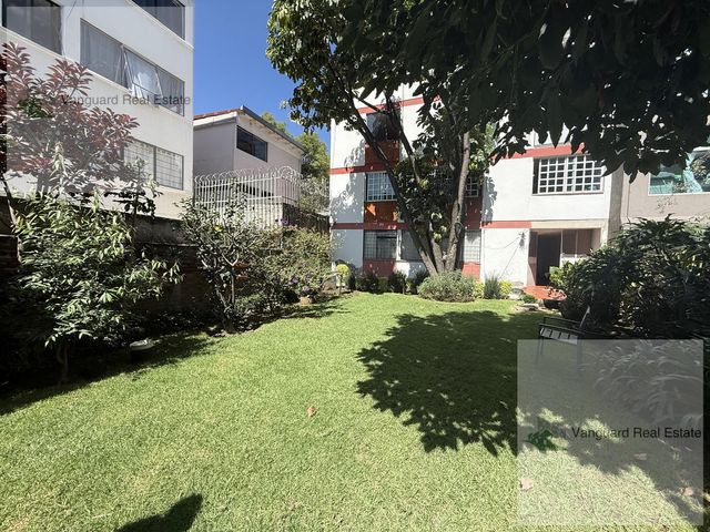 place photo 38