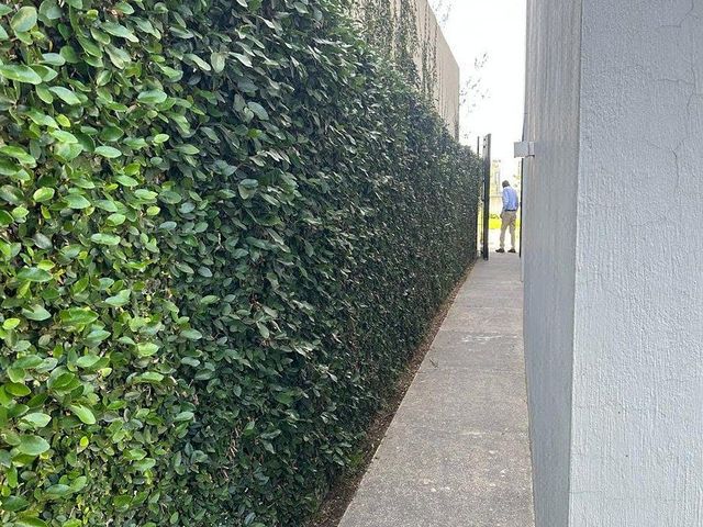 place photo 38