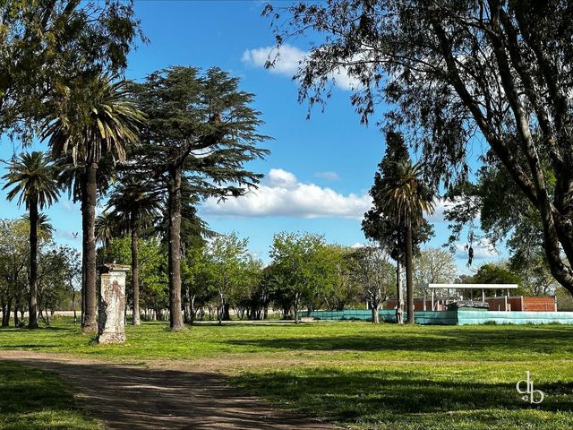 place photo 18