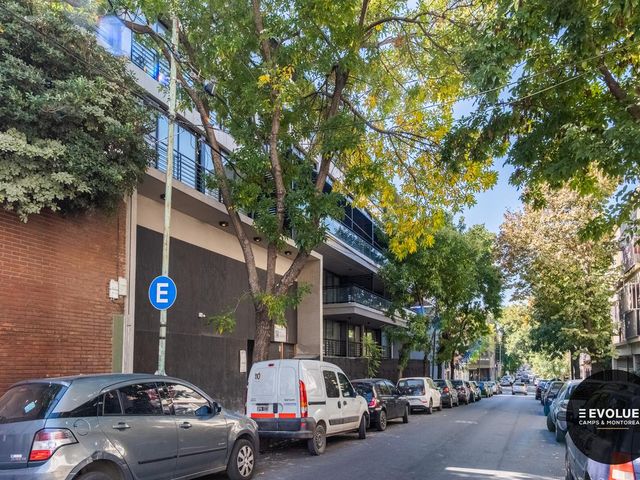 place photo 36
