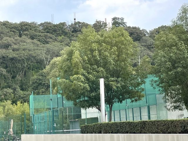 place photo 5