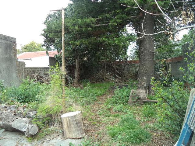 place photo 21