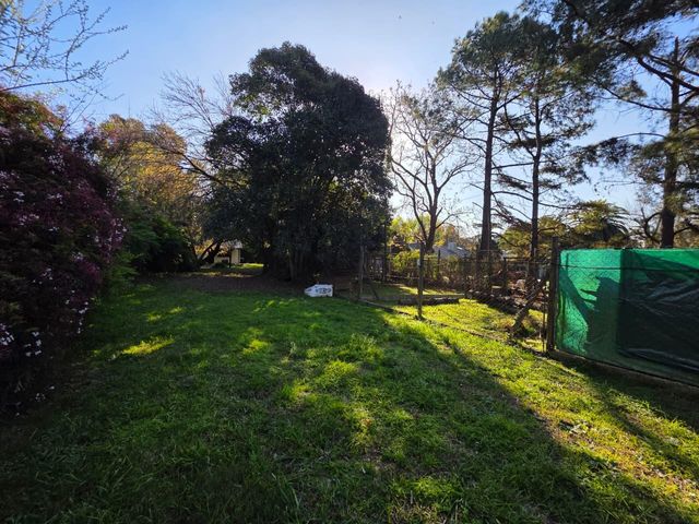 place photo 37