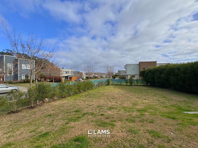 place photo 26