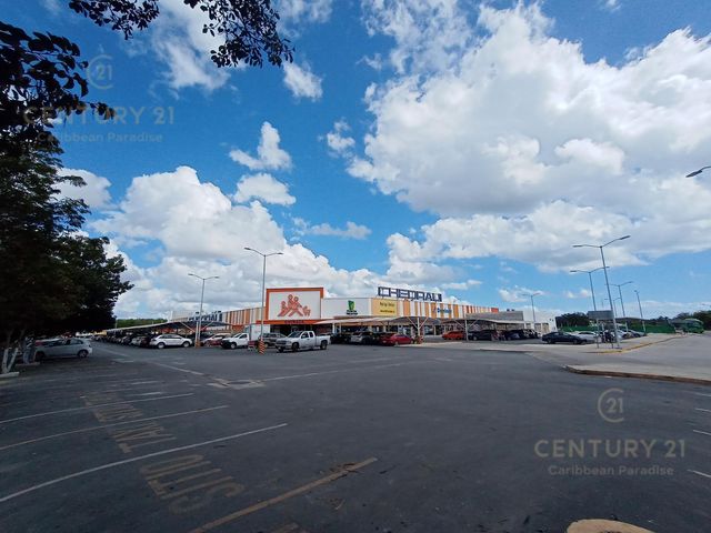 place photo 21