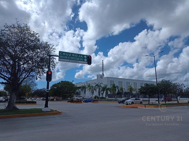 place photo 22