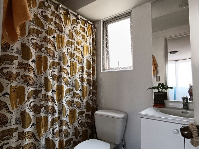 place photo 27