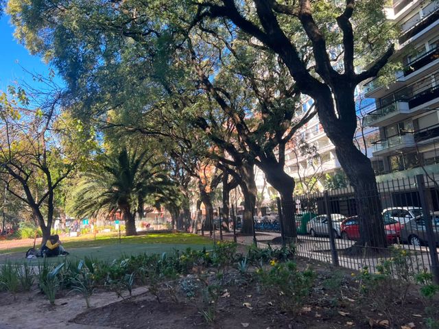 place photo 20