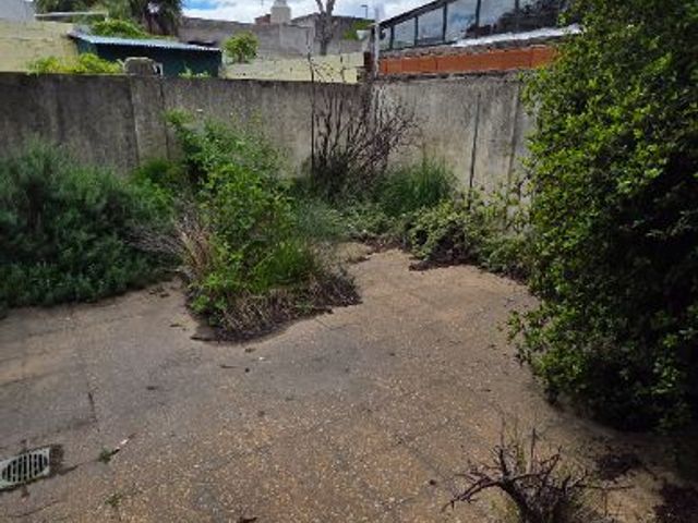 place photo 18