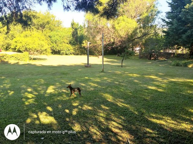 place photo 23