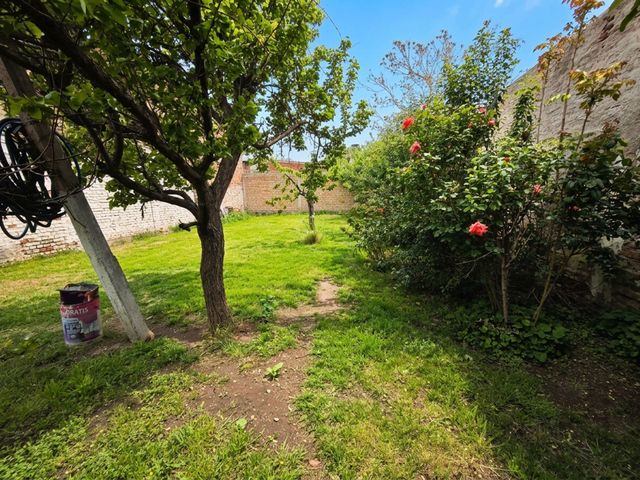 place photo 44