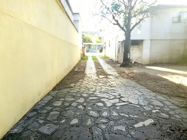 place photo 36