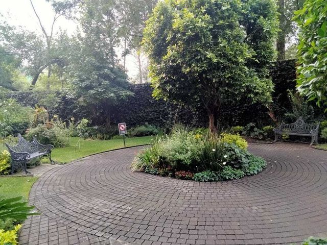 place photo 20