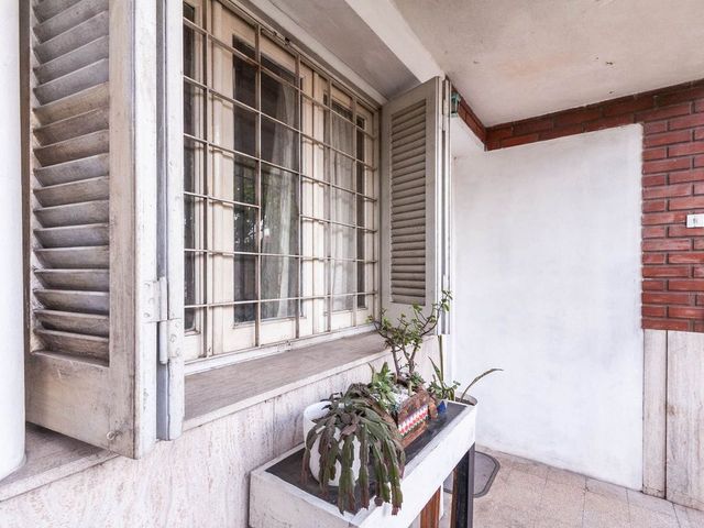 place photo 49