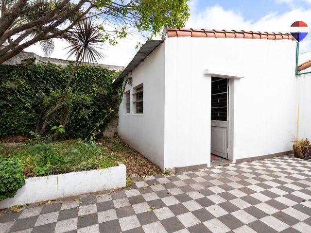 place photo 37