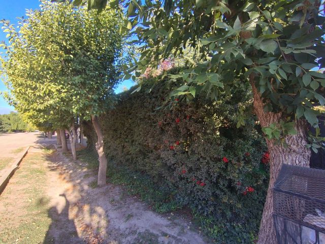 place photo 39