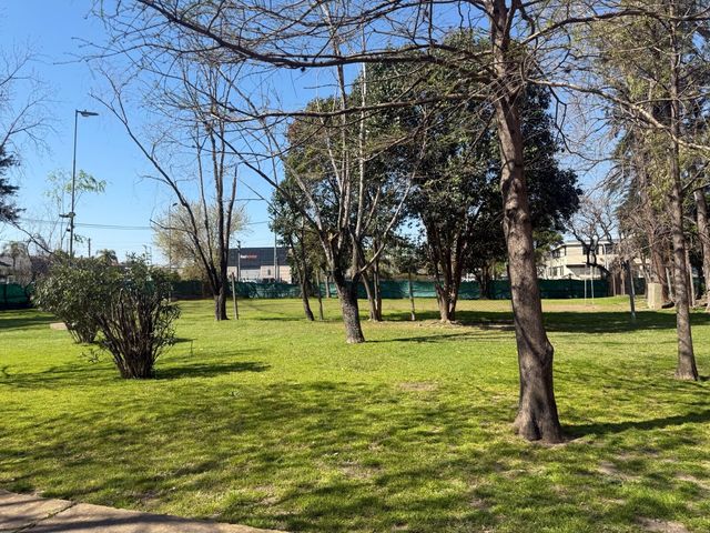 place photo 27