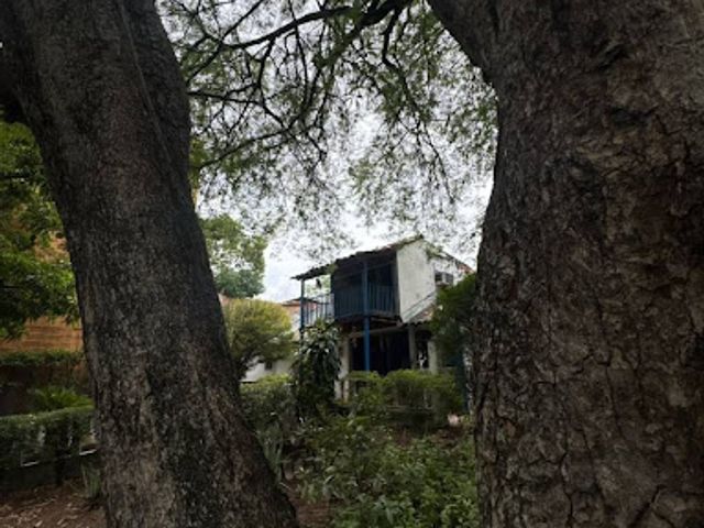 place photo 16