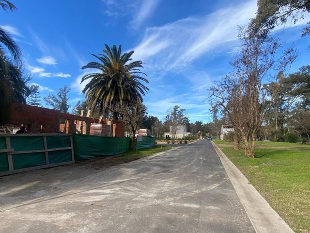 place photo 18