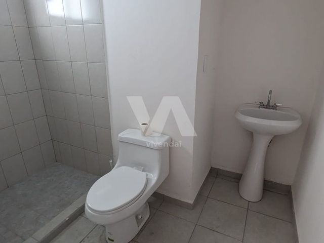 place photo 38