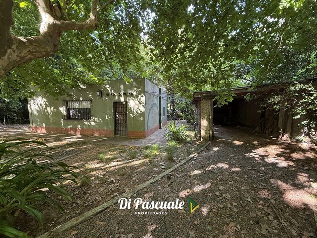 place photo 13