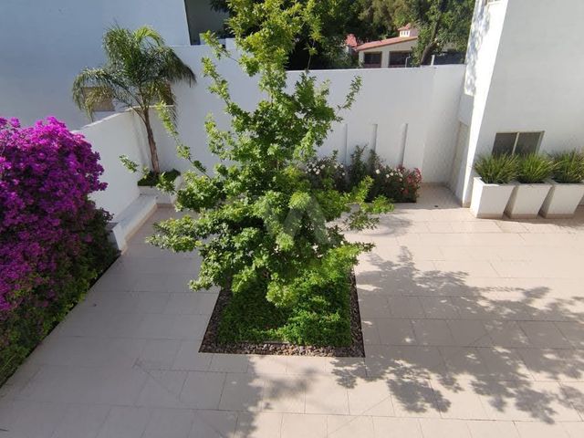 place photo 26