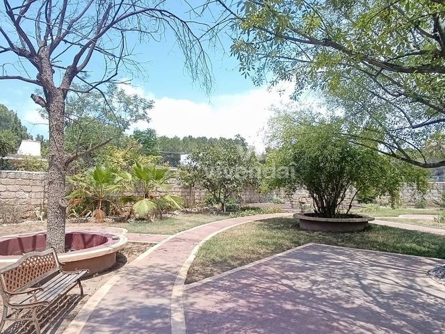 place photo 38