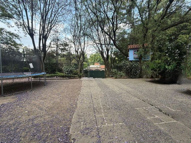 place photo 46