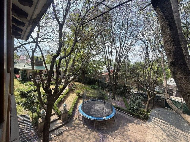 place photo 44